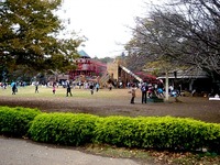 20151122_船橋市金堀町_ふなばしアンデルセン公園_1031_DSC08741