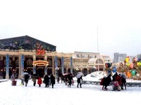 20140208_浦安市舞浜_東京ディズニーリゾート_大雪_208