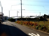 20141213_船橋市東船橋1_金子農園シクラメン小売_1050_DSC01649