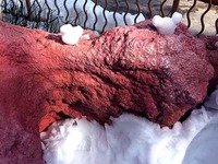 20140208_浦安市舞浜_東京ディズニーリゾート_大雪_452