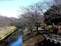 20140222_船橋市_海老川_鷹匠橋_人道橋_1200_DSC06259T