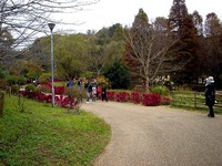 20151122_船橋市金堀町_ふなばしアンデルセン公園_1237_DSC08853