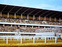 20150420_船橋市若松1_船橋競馬場_022