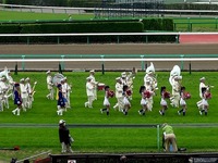 20150419_中山競馬場_皐月賞_マーチングドリル_1148_15020