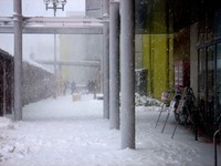 20140208_関東に大雪_千葉県船橋市南船橋地区_1544_DSC04415