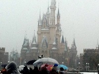 20140208_浦安市舞浜_東京ディズニーリゾート_大雪_142