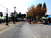 20151107_ちかわ市民まつり_大洲防災公園_0937_DSC06660