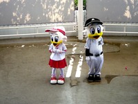 20140906_千葉ロッテキャラクター_チアステージショー_1322_DSC04814