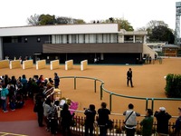 20150419_船橋市_中山競馬場_グランプリロード_1120_DSC00499