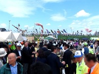 20150504_市川市_国分川鯉のぼりフェスティバル_1043_DSC03098