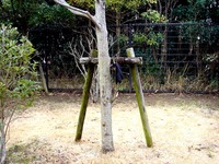 20120121_忘れ物_落とし物_遺失物_1042_DSC00354