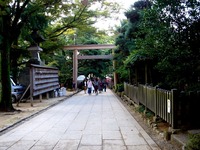 20151018_船橋大神宮_奉納子ども相撲_0942_DSC03439