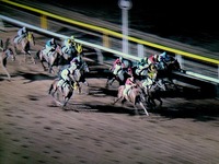 20160413_船橋競馬場_ハートビート_出待ちファン_2052_DSC01978E