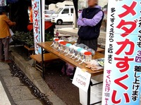 20150404_松戸市六高台の桜通り_六実桜まつり_1201_DSC08361