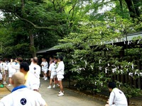 20140713_船橋市宮本5_船橋大神宮_八剱神社陰祭_0913_DSC09938