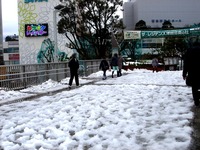 20140215_関東に大雪_津田沼_積雪_記録的大雪_1411_DSC05300