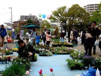 20150419_船橋市_緑と花のジャンボ市_天沼弁天池公園_0910_DSC00107