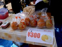 20151107_ちかわ市民まつり_大洲防災公園_0938_DSC06669