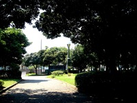 20150711_千葉市_幕張町3_電子基準点_舟溜跡公園_1407_DSC00499