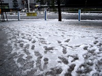 20160118_東京都_強い冬型の低気圧_積雪_大雪_0802_DSC03415