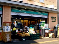 20150412_船橋市葛飾町2_ワイズマートDila西船橋店_0838_DSC08905T