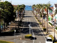 20111205_千葉県_南房総_リゾートタウン館山_ヤシ_1115_DSC04502T