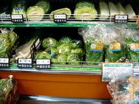 20120608_市川市鬼高2_ローソンストア100_野菜_1859_DSC08192