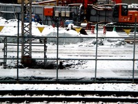 20160118_東京都_強い冬型の低気圧_積雪_大雪_0757_DSC03411