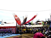 20140504_市川市_国分川鯉のぼりフェスティバル_1246_DSC08283