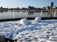 20140209_関東に大雪_千葉県船橋市南船橋地区_1549_DSC04614