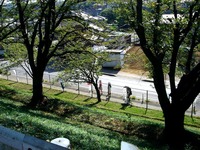 20140921_千葉県立船橋芝山高校_翔鷹祭_0913_DSC08142