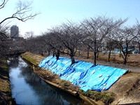 20140222_船橋市_海老川_鷹匠橋_人道橋_1200_DSC06255