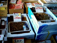 20141206_ふなばし楽市_船橋市地方卸売市場_0928_DSC01070