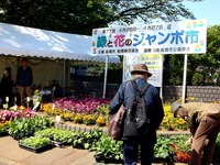 20140427_天沼弁天沼池公園_緑りと花のジャンボ市_0909_DSC06684