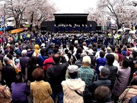 20150404_六実桜まつり_千葉県立松戸六実高校_吹奏楽部_1229_MAH00301030