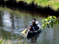 20140601_船橋市_第29回海老川親水市民まつり_1250_DSC03526T