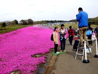 20150412_千葉県袖ケ浦永吉_東京ドイツ村_1339_DSC09177