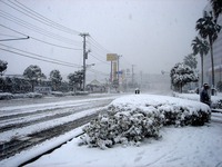 20140208_関東に大雪_千葉県船橋市南船橋地区_1511_DSC04369