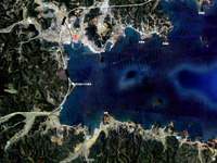 20110311_東日本大震災_宮城県_仙台市_南三陸町_志津川_520