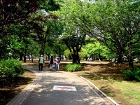 20140524_習志野市谷津3_谷津バラ園_谷津公園_1440_DSC02463