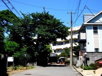 20140614_船橋市宮本6_峰台小学校_前開発_1006_DSC05767