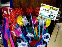 20130425_こともの日_ミニ鯉のぼり_2026_DSC03271