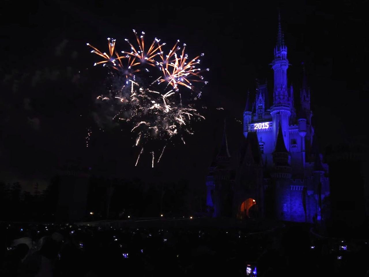 夢の国東京ディズニーリゾート カウントダウンパーティーの花火 23 ビビット 14