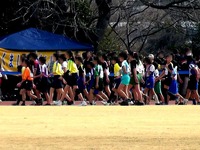 20140201_第32回船橋市小学生駅伝競走大会_1022_DSC04520