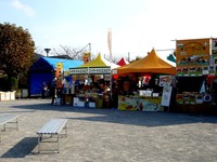 20151107_ちかわ市民まつり_大洲防災公園_0936_DSC06649