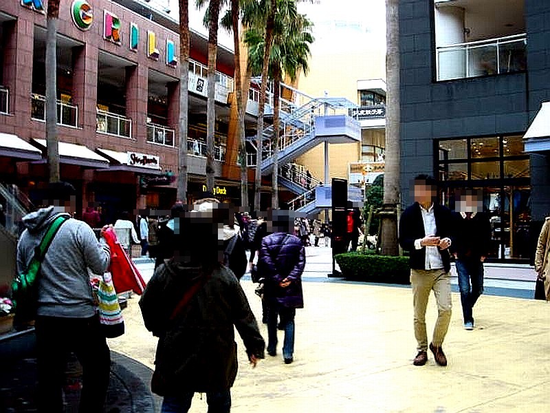 冬の風 ららぽーとtokyo Bayの初売り 元旦 7 ビビット21 14