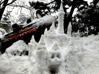 20140208_浦安市舞浜_東京ディズニーリゾート_大雪_272