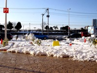 20140209_関東に大雪_千葉県船橋市南船橋地区_1545_DSC04585