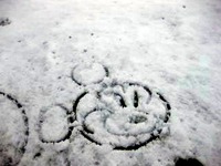 20140208_浦安市舞浜_東京ディズニーリゾート_大雪_290