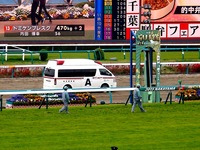 20150419_船橋市古作1_中山競馬場_皐月賞_1112_DSC00485